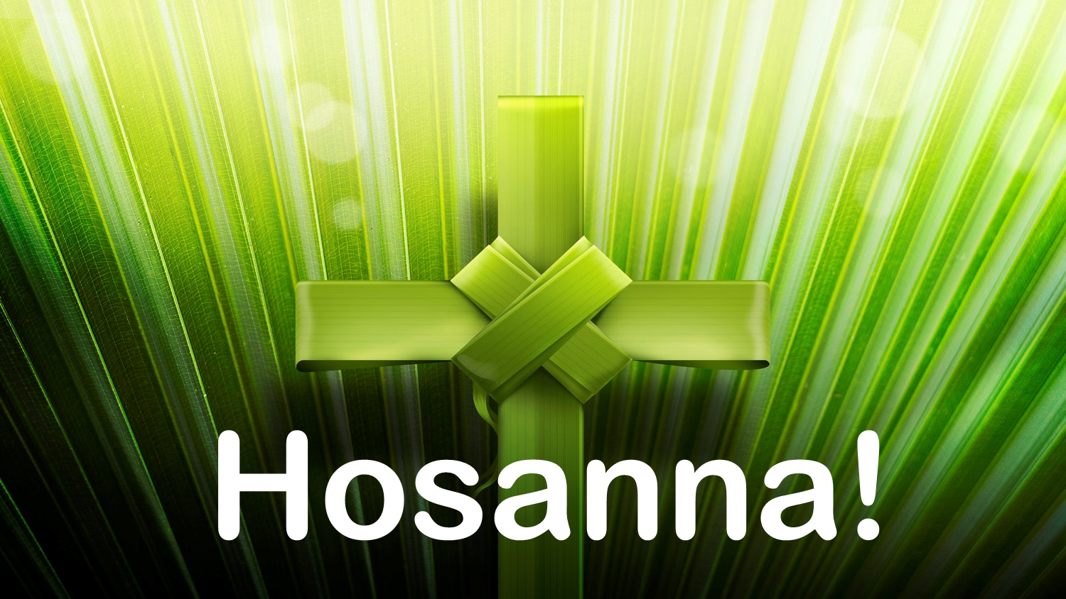 Hosanna!